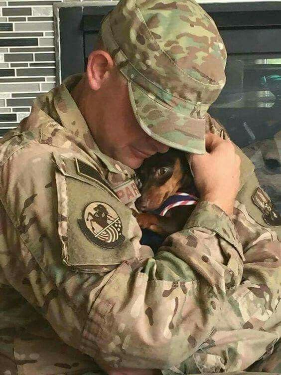 Satisfied Dachshund puppy buyer sharing her experience