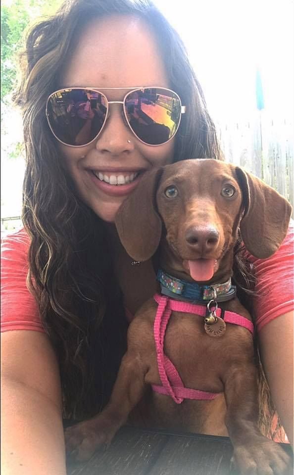 John loe with his RoyalDachshund Dachshund puppy